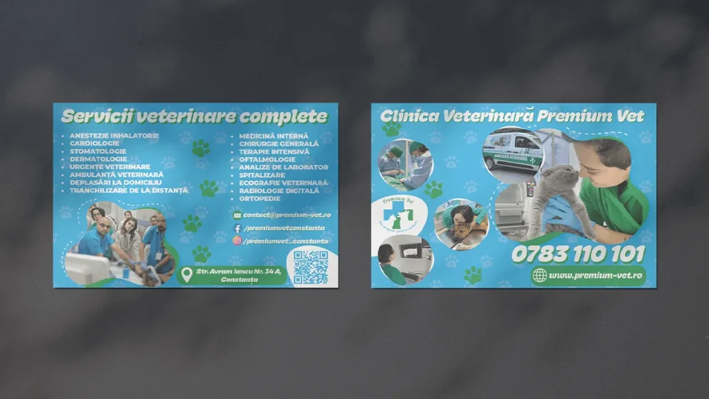 Premium Vet project visual 6